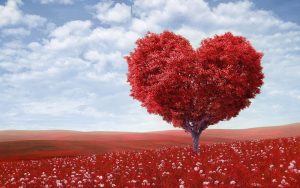 Mastering the Sales Funnel: How to Build Long-Term Loyalty